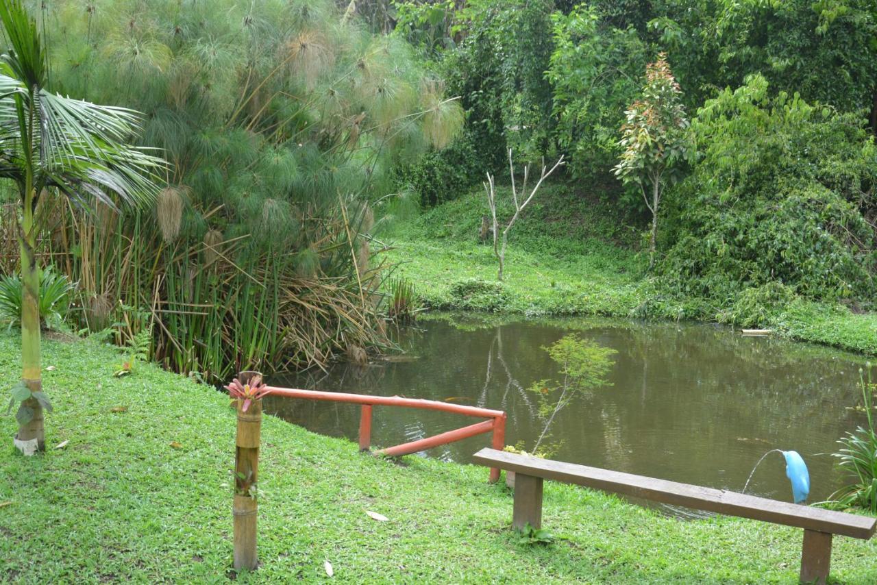 Sitio E Pousada Recanto Dos Ipes Teresópolis Exteriör bild